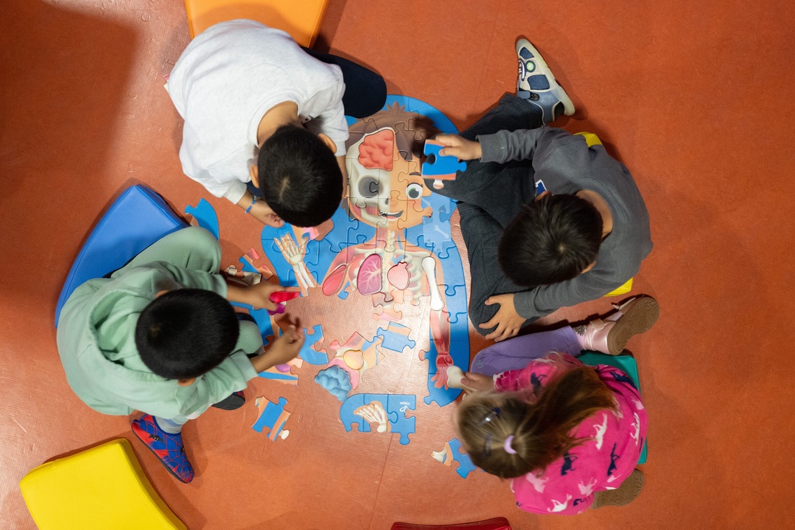 Foto von oben, vier Kinder puzzeln an deinem Anatomiepuzzle eines Körpers