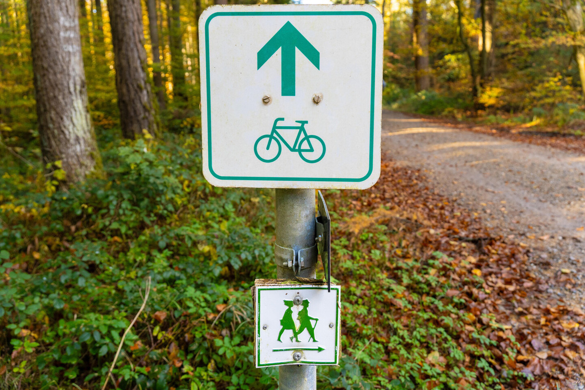 Beschilderung im Herbstwald für Fahrrad- und Wanderweg