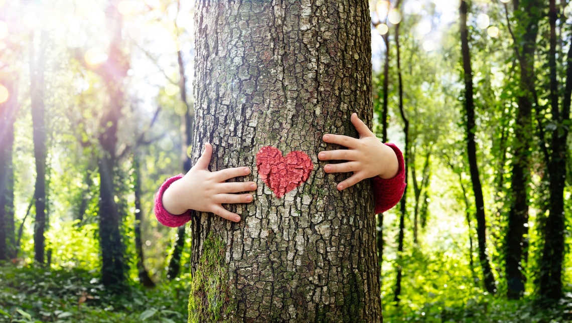Hände, die von hinten einen Baum mit aufgemalten Herz umarmen.