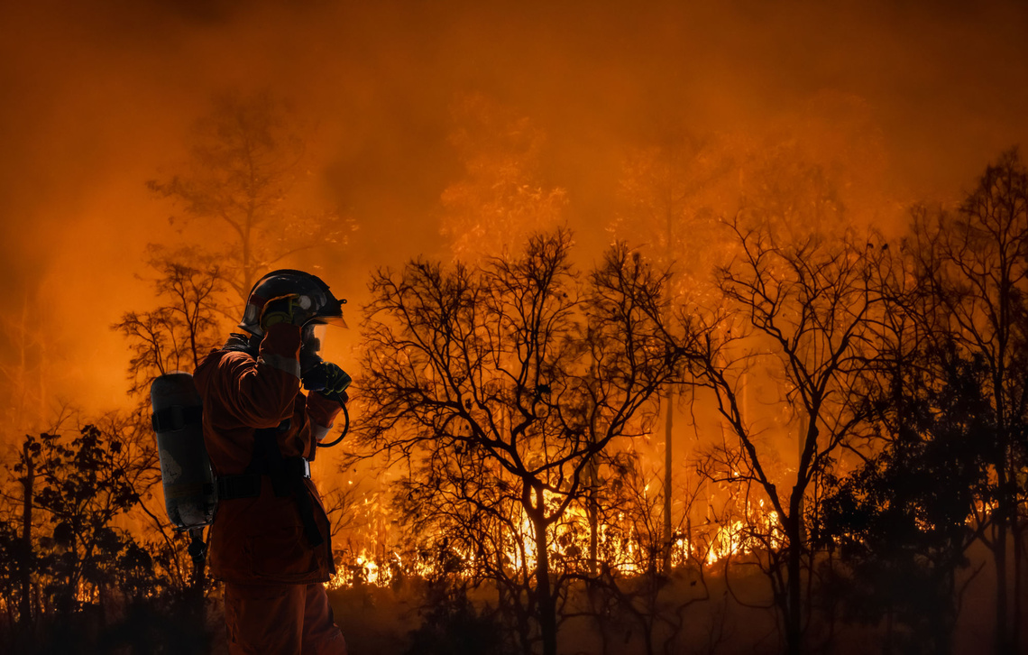 Feuerwehrmann vor einem Waldbrand.