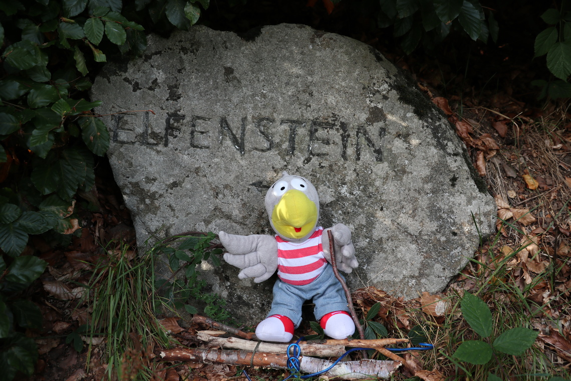 Stofftier Karlchen sitzt vor einem Stein, auf dem "Elfenstein" steht.