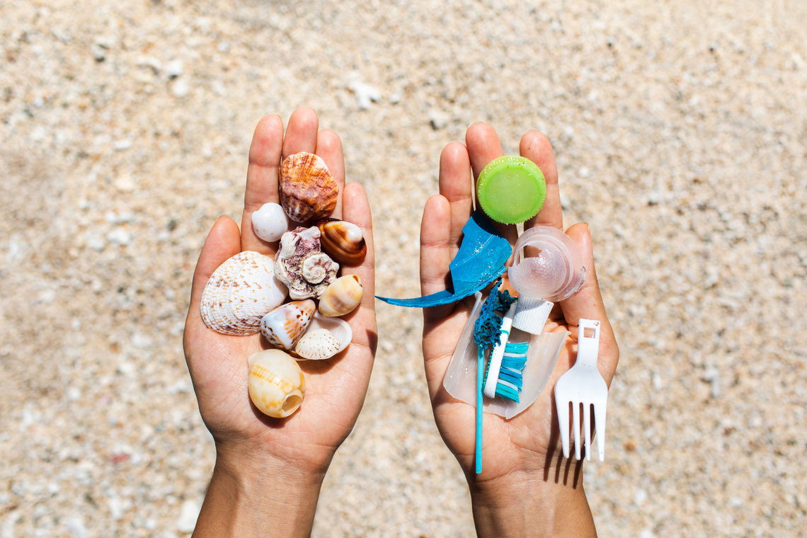 Eine Hand mit Muscheln und eine Hand mit Müll. Im Hintergrund der Strand.